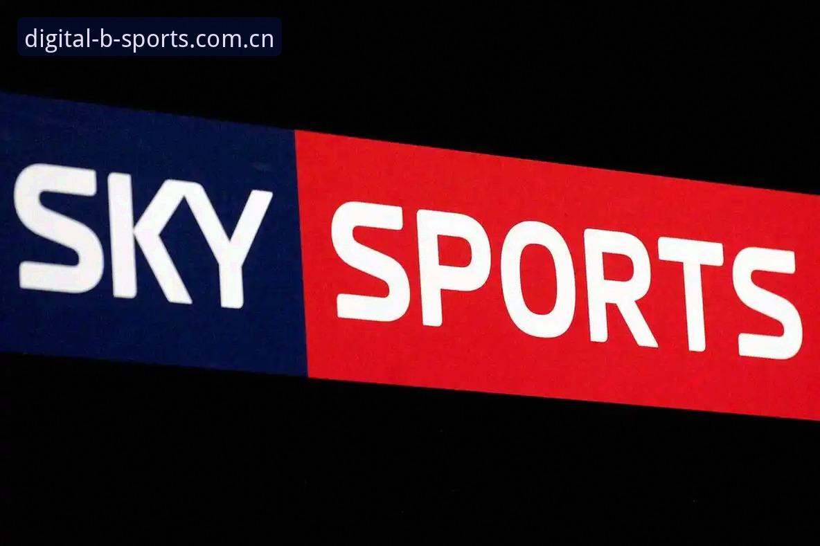B-SPORTS工具功能详解：数字体育平台必备实用指南